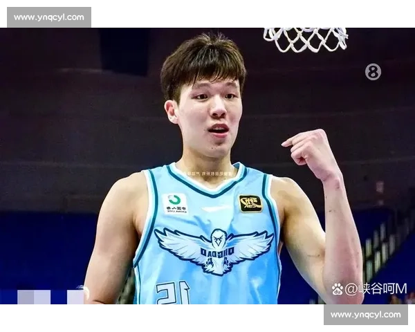 中国新星登陆 NBA:杨瀚森能否续写姚明传奇? 中国新星登陆 NBA:杨瀚森能否续写姚明传奇?