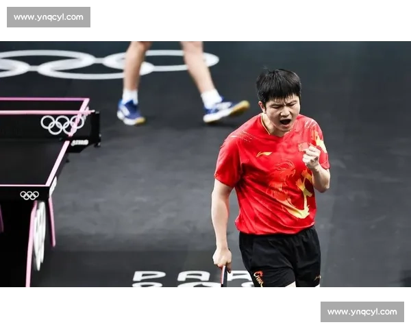 奥运冠军樊振东战略投资美国 MLTT 联赛,开启中美乒乓新纪元